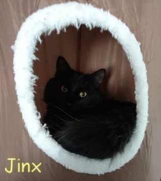 Jinx