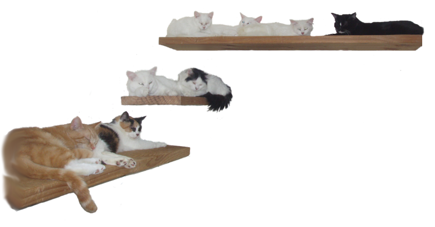 3 shelf